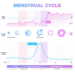 Premom app ovulation predictor interface on smartphone