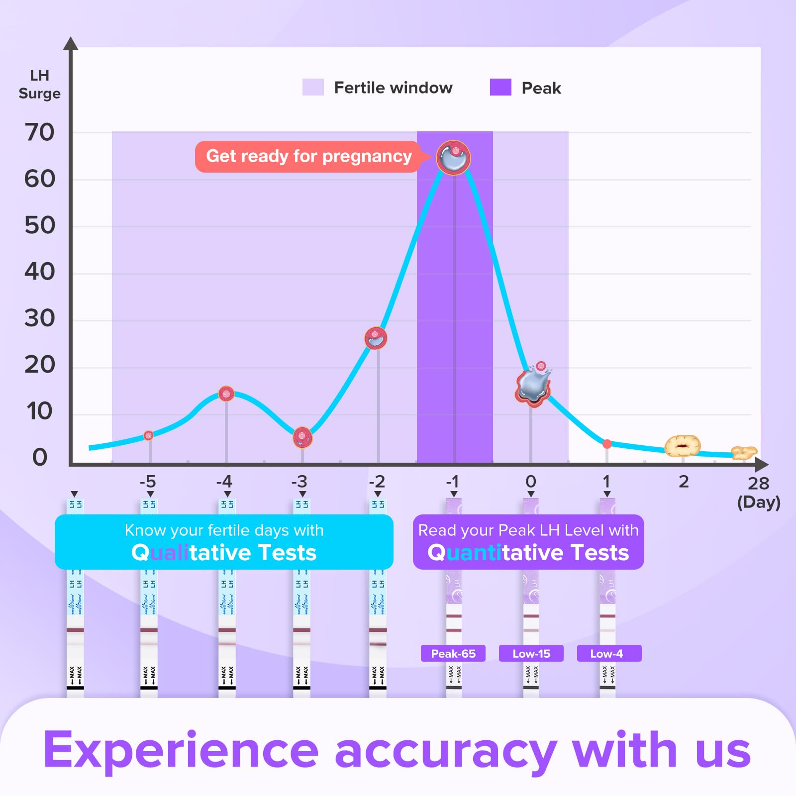 Digitized ovulation cycle chart in Premom platform