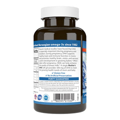 Illustration of prenatal DHA benefits for fetal development