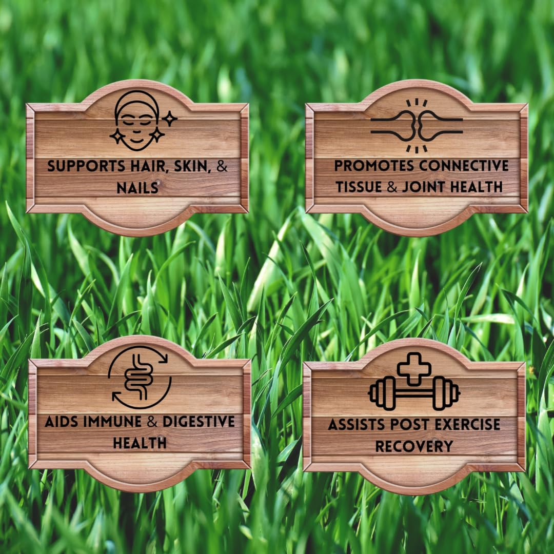 Packaging highlights no fillers, non-GMO and GMP certified