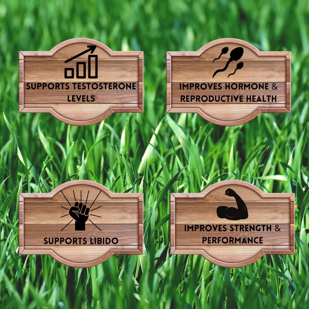 New Zealand sourced grass-fed cattle for Primal Being supplement