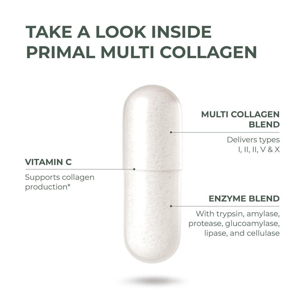Collagen sources: chicken, fish, and eggshell membrane