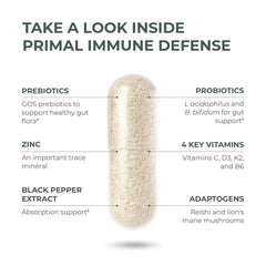 Probiotics, zinc and vitamins for immune support imagery