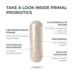 Illustration of the probiotic prebiotic blend