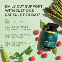 Dispensed Primal Harvest probiotic capsules with water for dosage