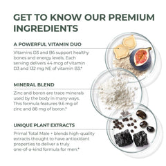 Antioxidant-rich extracts in Total Male+ Multivitamin
