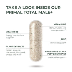 Herbal blends in Total Male+ for testosterone support