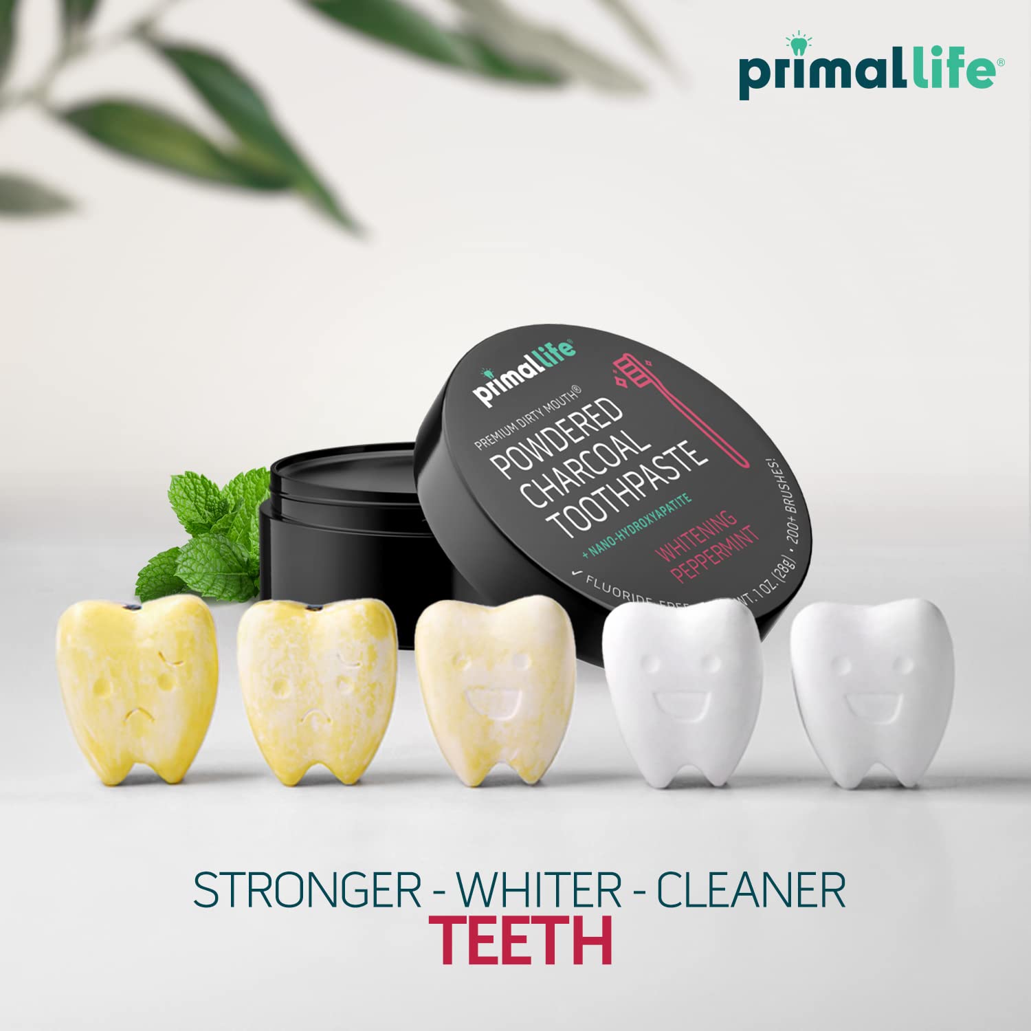 Fluoride-free natural toothpowder ingredient close-up