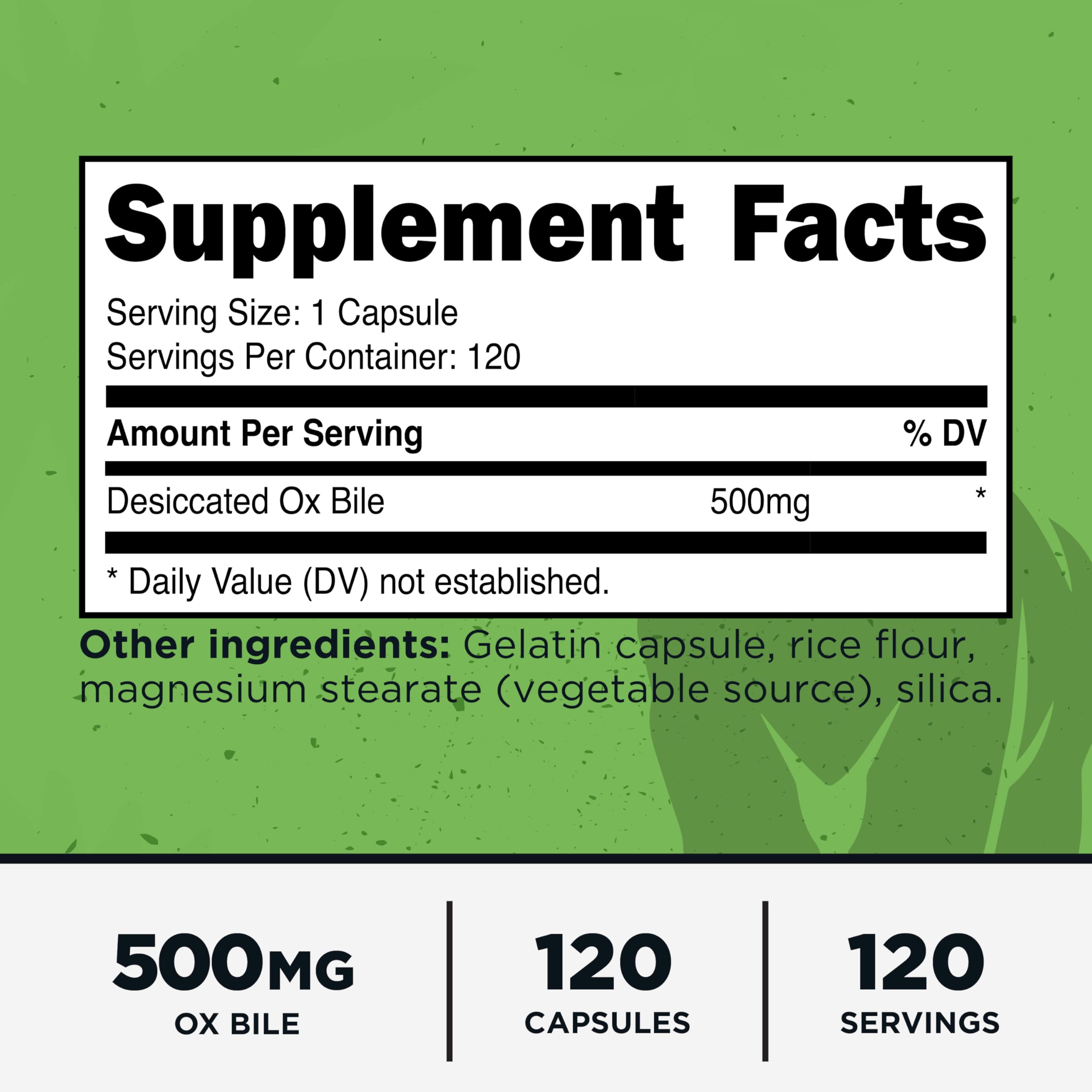 Ox Bile capsules close-up showing 500 mg per serving