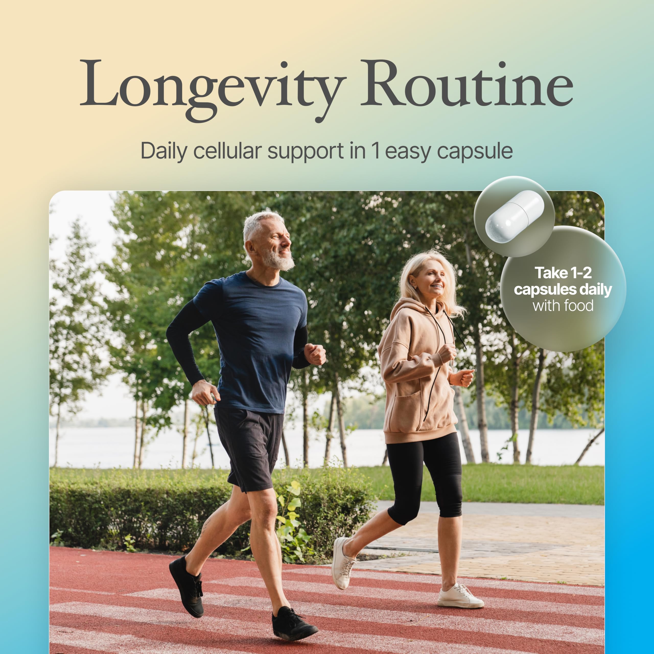 99% pure spermidine content in Prime Powders capsules