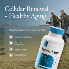 Spermidine capsules by Prime Powders – gluten-free, 10 mg per serving