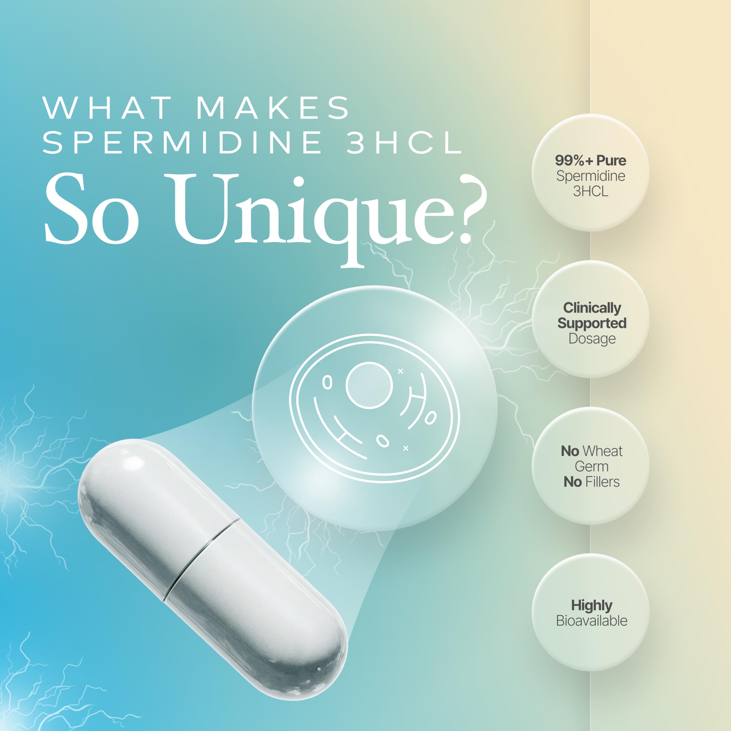 Made in USA Prime Powders Spermidine capsules