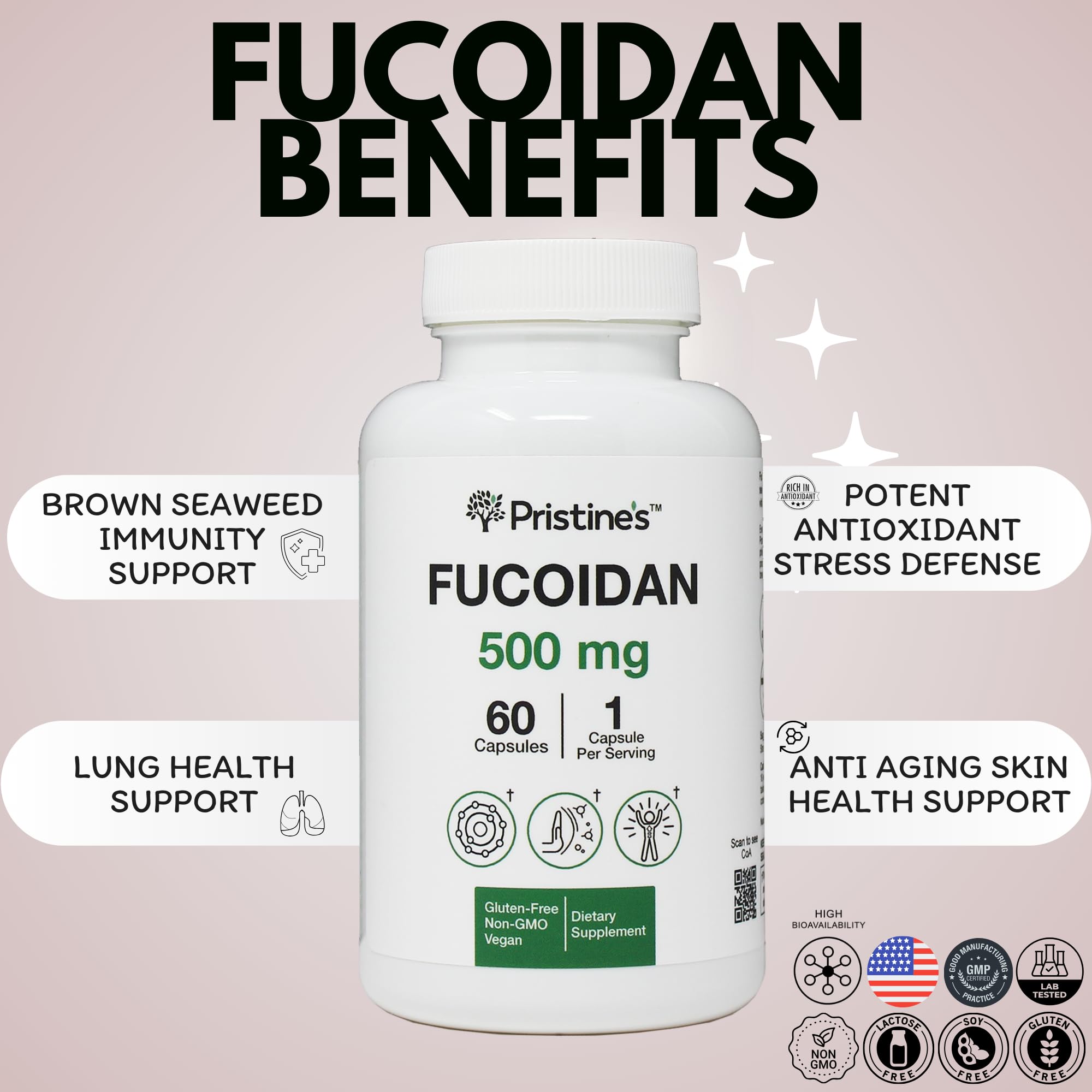 Ingredients panel for PRISTINE'S Fucoidan 500MG