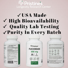 Back label view of PRISTINE'S Fucoidan 500MG bottle