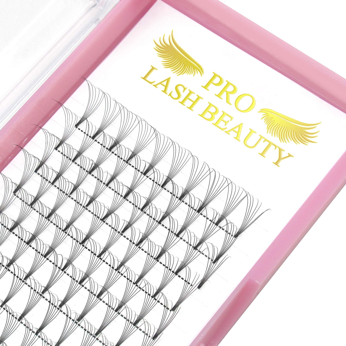 PRO LASHBEAUTY Premade Fans 7D-D curl, 17mm length for dramatic, lightweight volume.