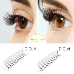 PRO LASHBEAUTY Premade Fans stable curl that holds shape through day-to-day wear.
