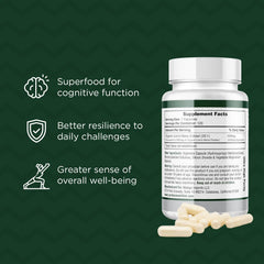 Bottle label detail of Lions Mane Cognition ingredients