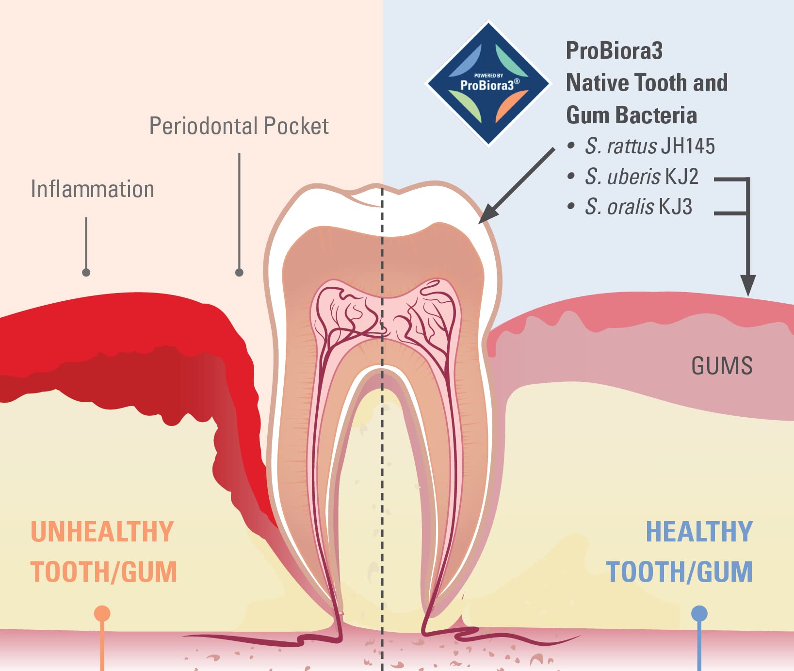ProBiora oral care probiotic tablets for adults