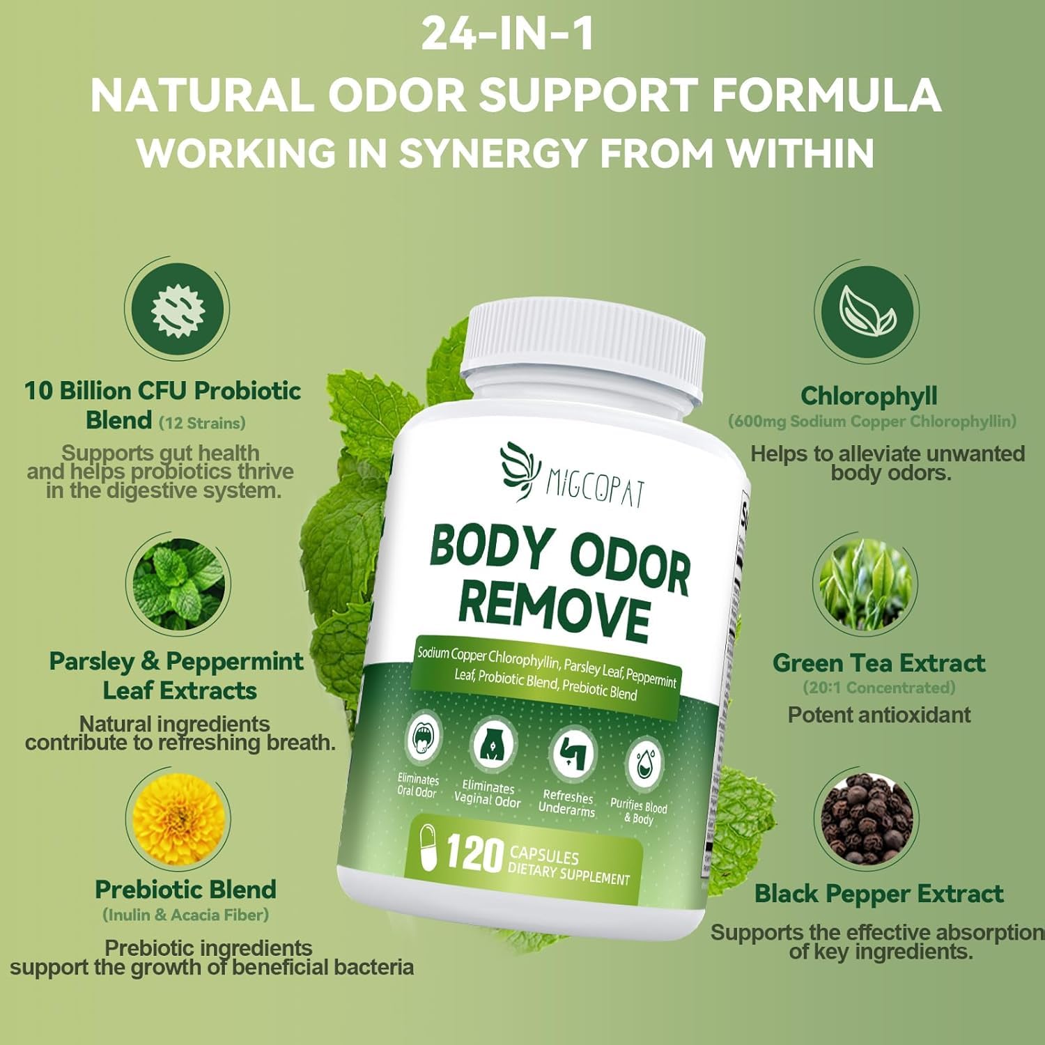 Chlorophyll capsules with probiotics for gut health