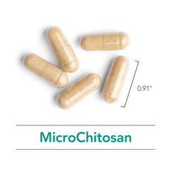 Graphic depicting probiotic growth and gut flora balance