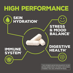 Illustration of mood support probiotic strain L. paracasei Lpc-37