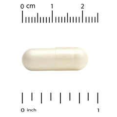 Illustration of the 8 probiotic strains (5 Lactobacilli, 3 Bifidobacteria)
