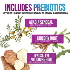 Vegan probiotic capsules arranged on a white surface