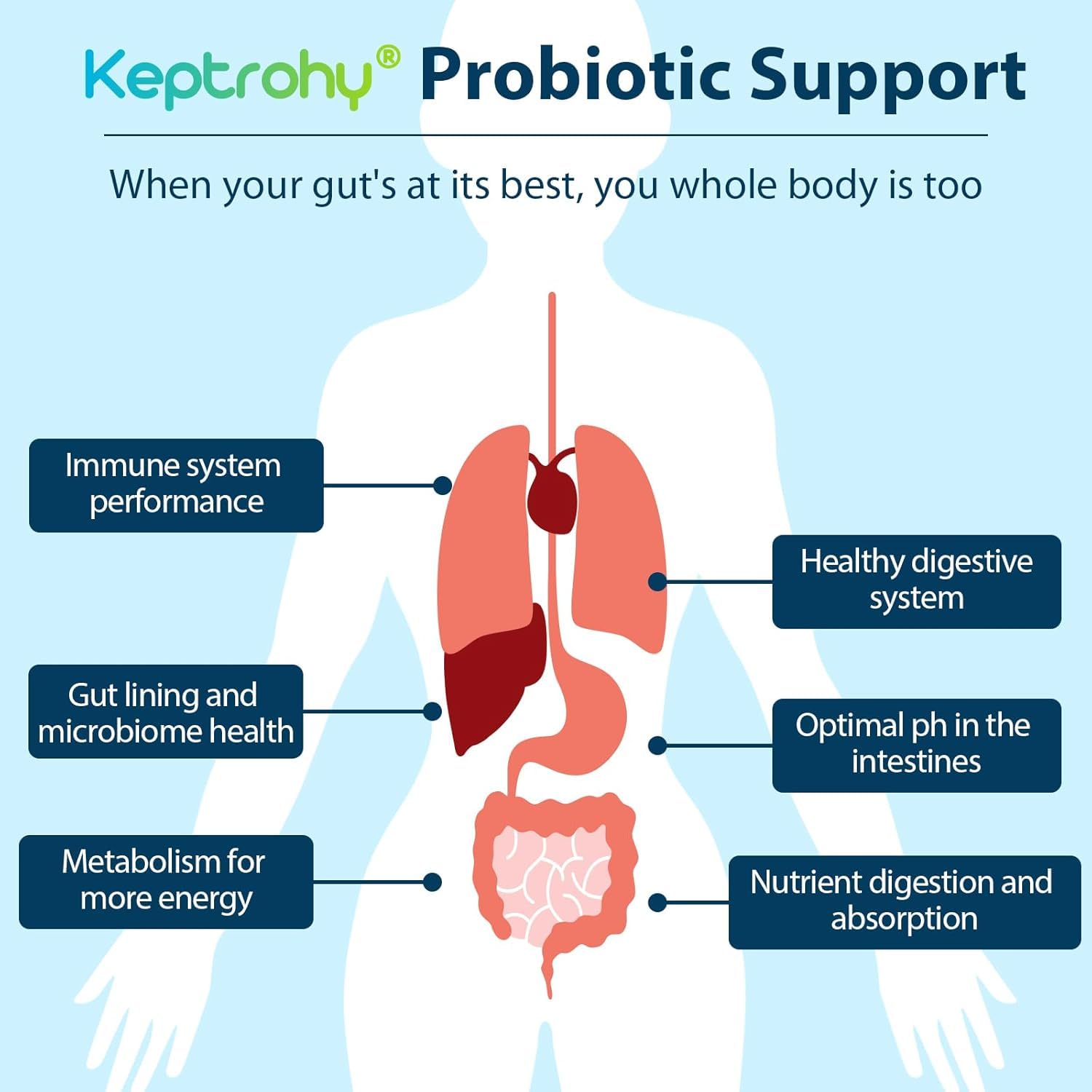 Shelf-stable probiotic capsules ready for daily use