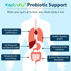 Shelf-stable probiotic capsules ready for daily use