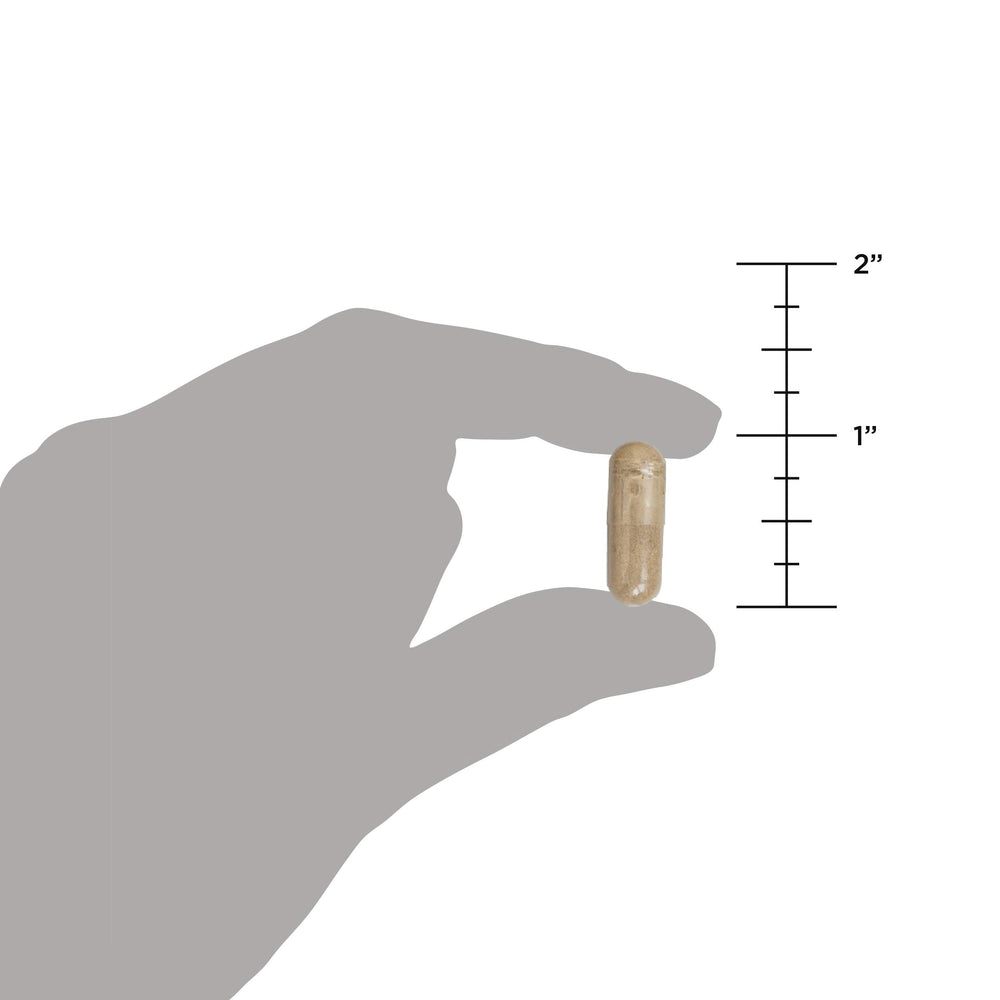 Close-up of a 60-count probiotic bottle