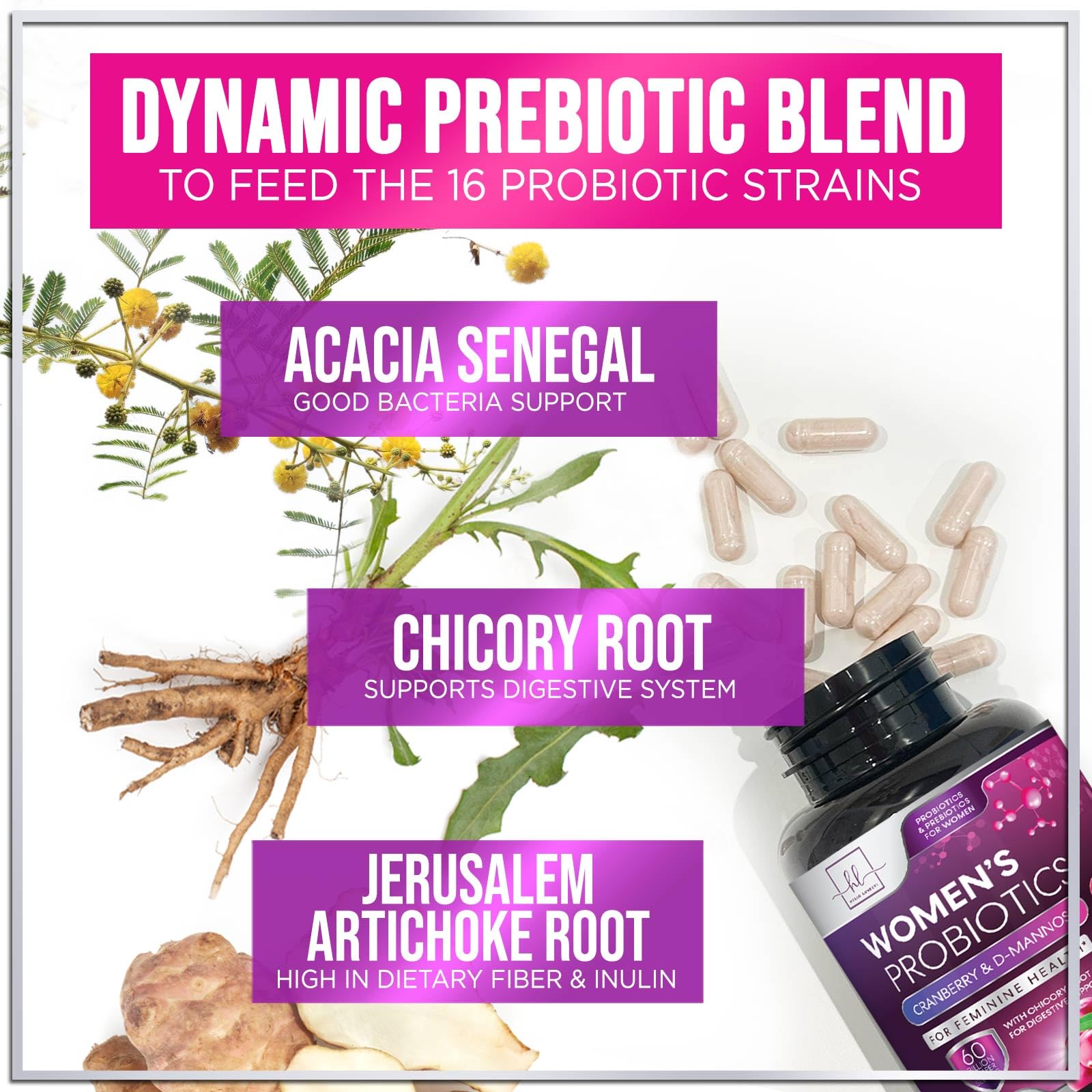 Vegan probiotic capsules with cranberry and lactobacillus imagery