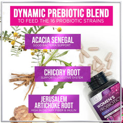 Vegan probiotic capsules with cranberry and lactobacillus imagery