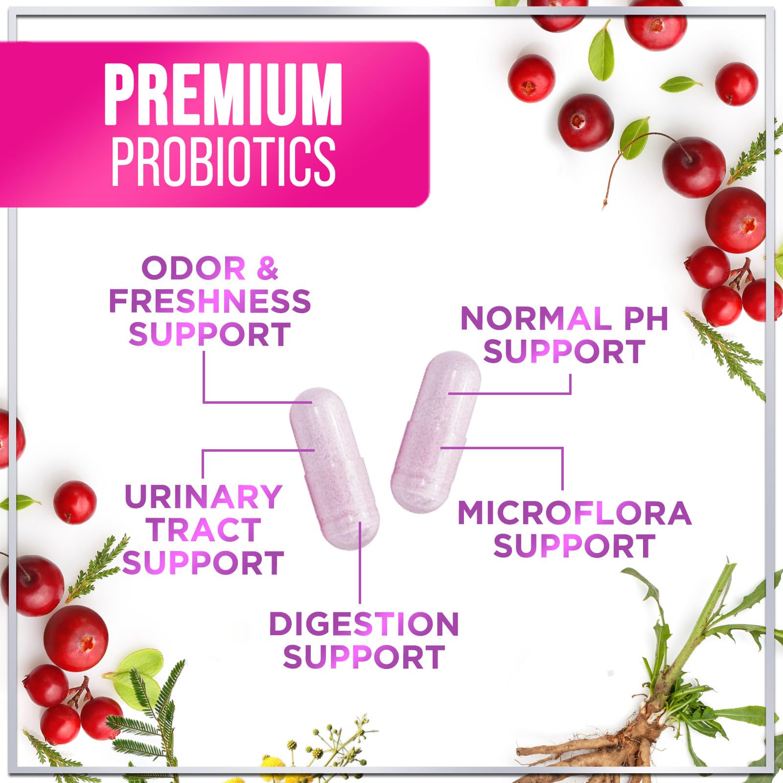 Illustration highlighting Lactobacillus and Bifidobacterium strains