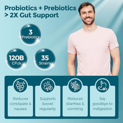 Graphic of digestive enzymes and prebiotics