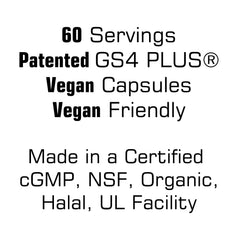 BioPerine absorption enhancer