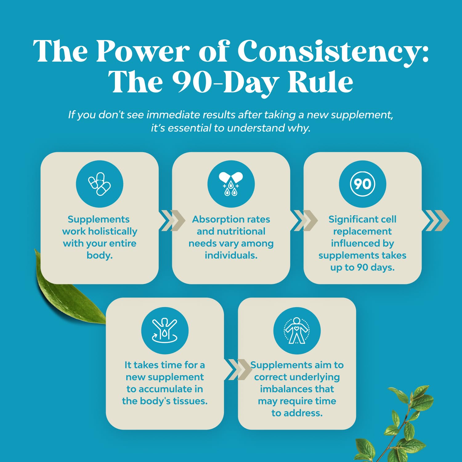 Graphic highlighting memory and focus benefits