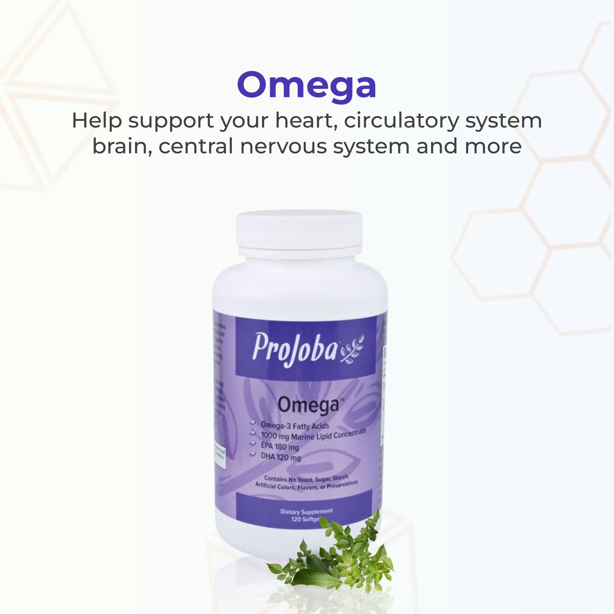 Graphic illustrating brain and heart health benefits of omega-3
