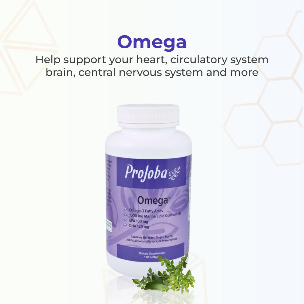 Graphic illustrating brain and heart health benefits of omega-3