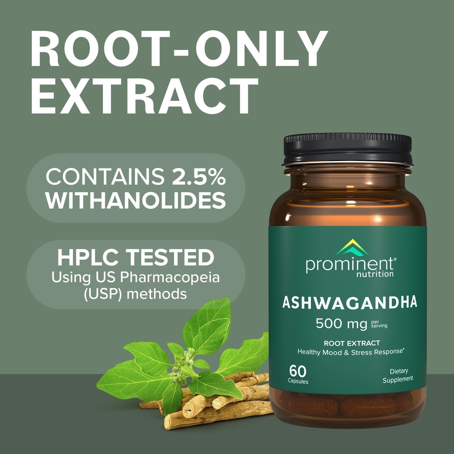 Graphic illustrating 2.5% withanolide content in Ashwagandha