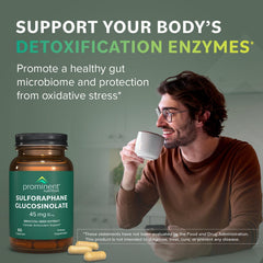 Graphic illustration representing gut health support