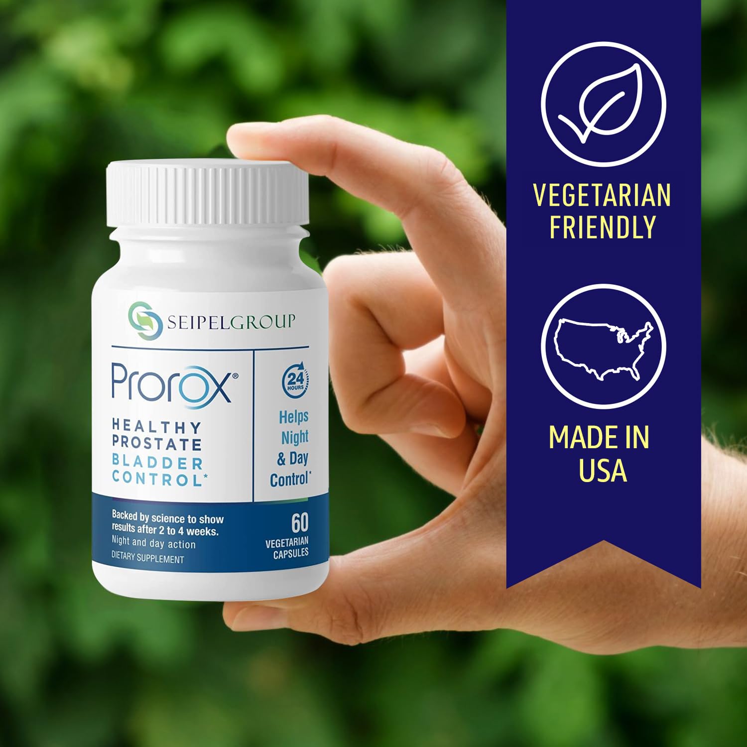 Saw palmetto illustration for PROROX