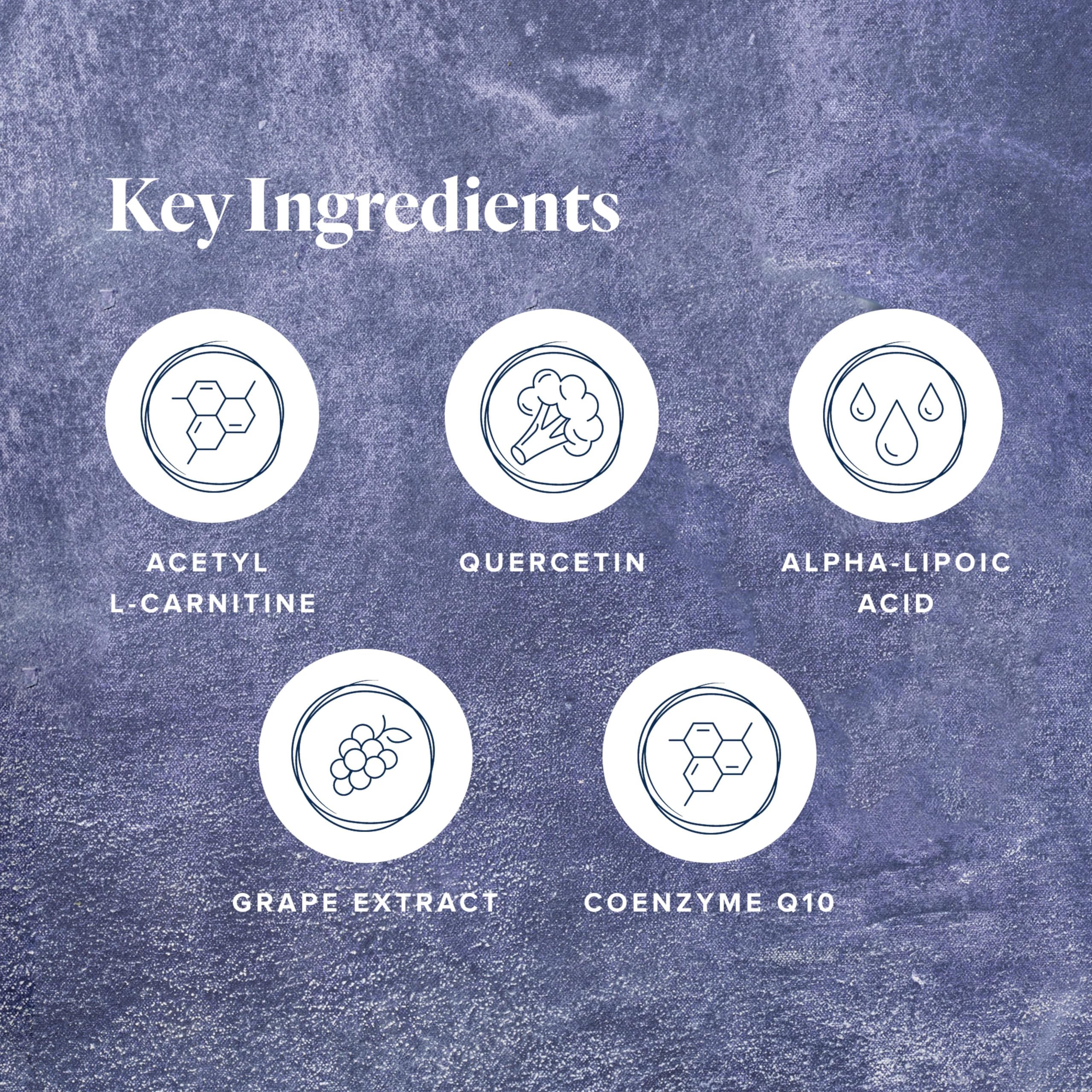 Mitochondrial energy support capsules illustration