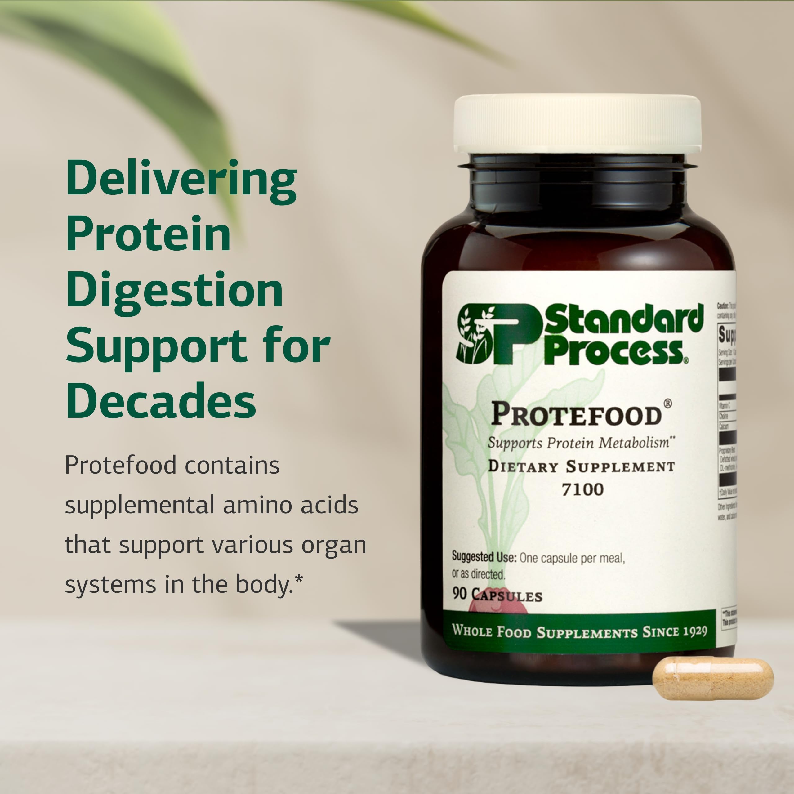 Vitamin C immune support in Protefood
