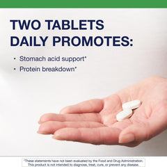 Infographic showing protein digestion and nutrient absorption