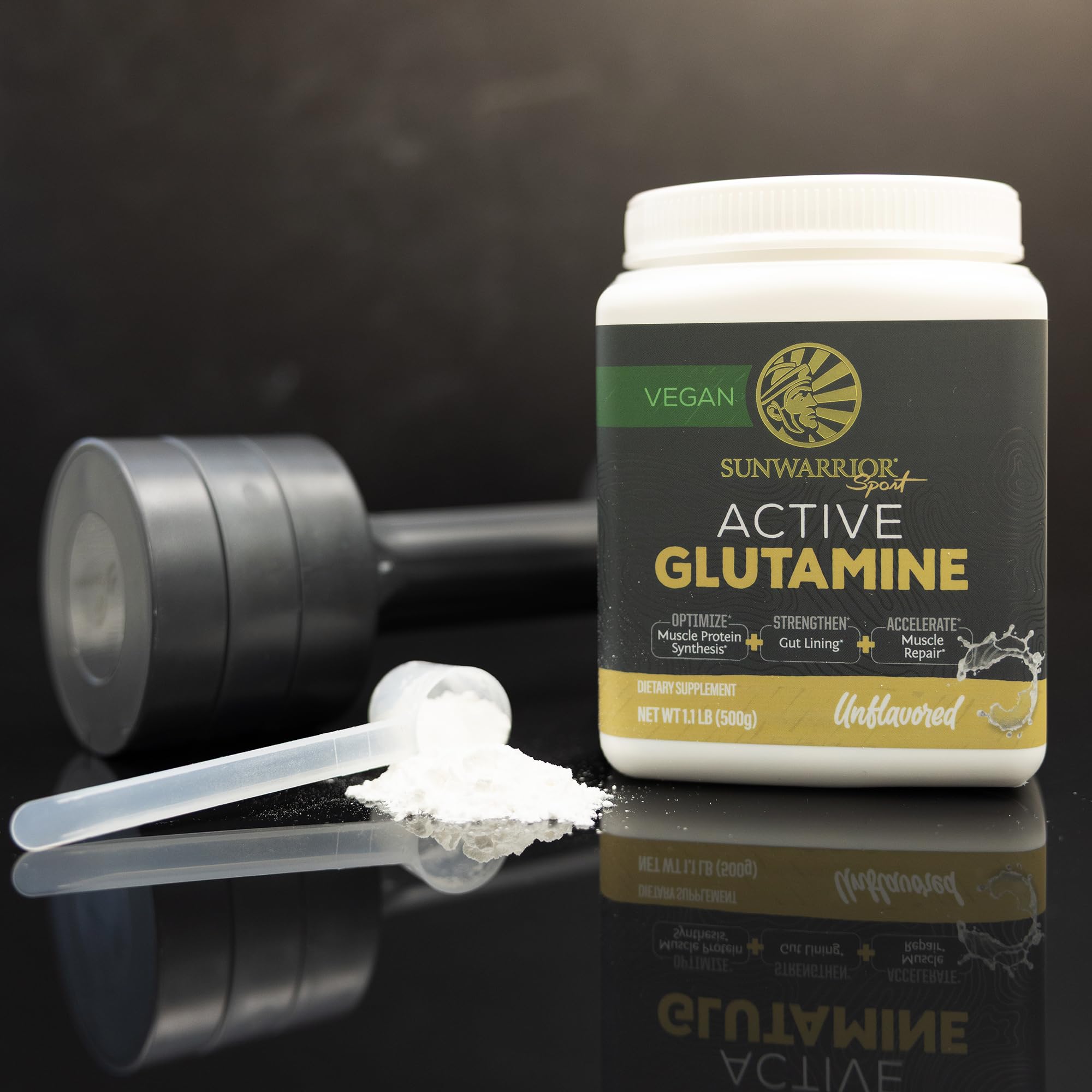 Graphic illustrating protein synthesis support with glutamine