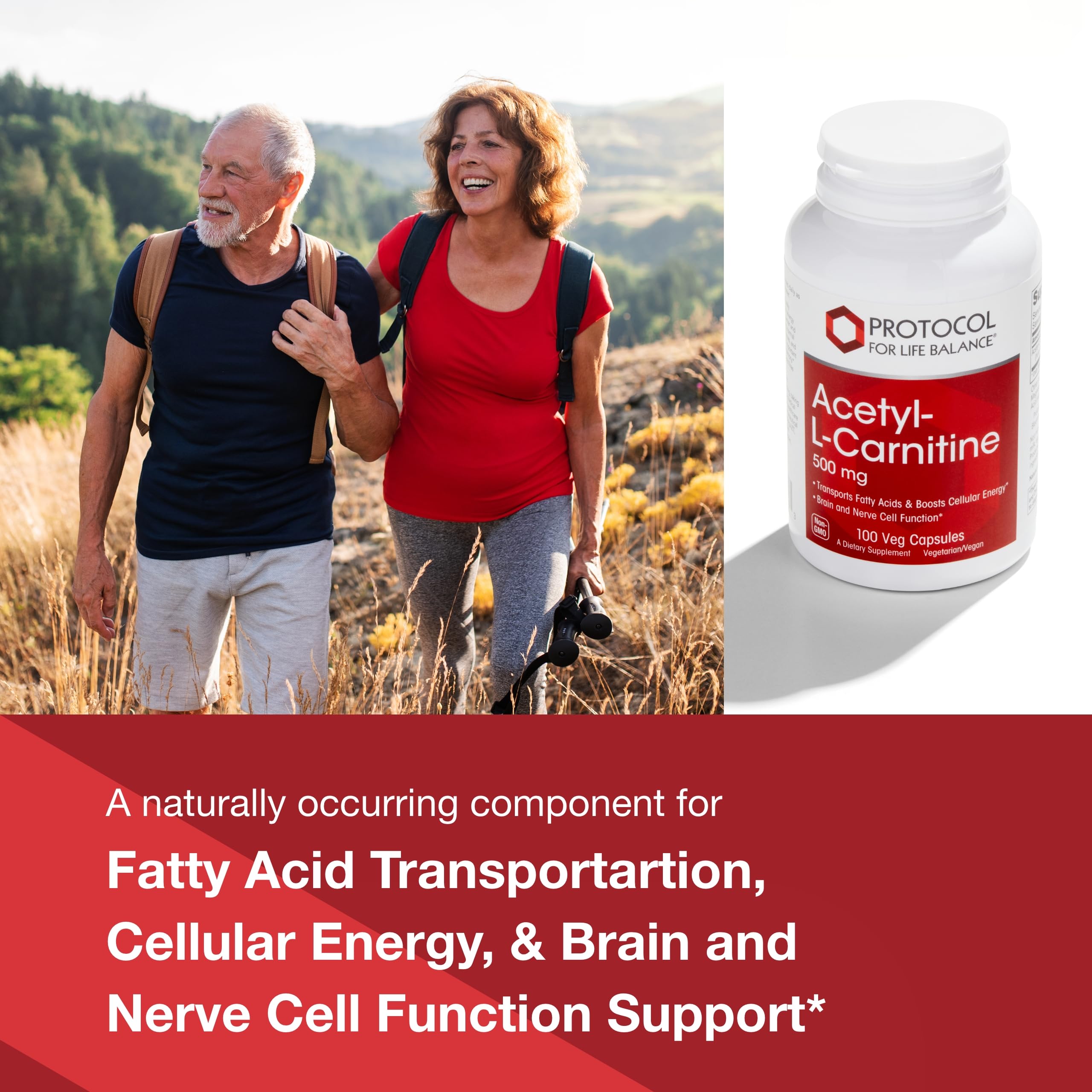 Close-up of Acetyl-L-Carnitine 500mg capsule