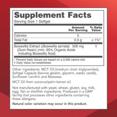 Label close-up of Protocol Boswellia Extract 500 mg bottle