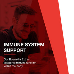 Supplement facts panel for Protocol Boswellia Extract