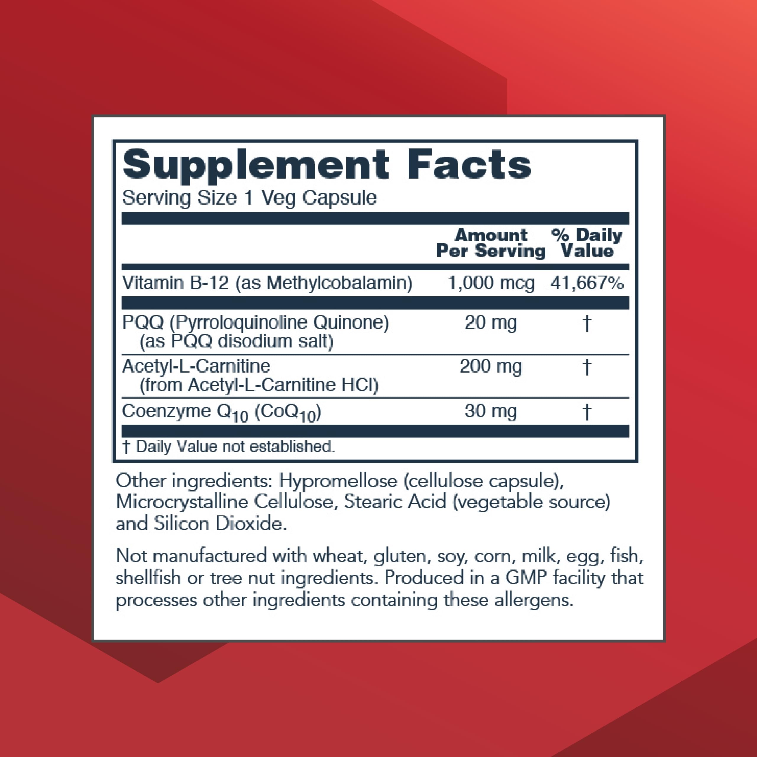 CoQ10 and acetyl-L-carnitine support mitochondrial function