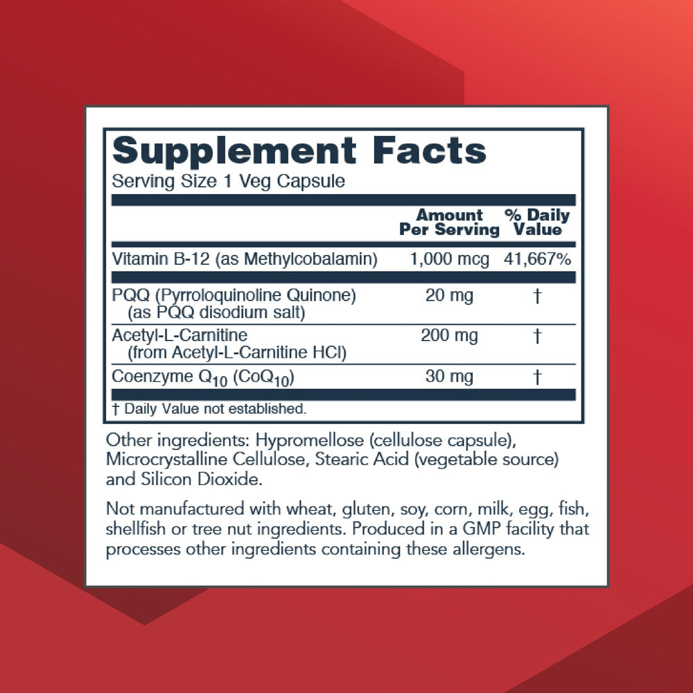 CoQ10 and acetyl-L-carnitine support mitochondrial function